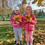 Liście, liście, liście...