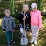 Dzień Drzewa 2019