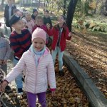 Jesienne Wędrówki 10.2019