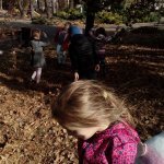 Jesienne Wędrówki 10.2019