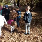 Jesienne Wędrówki 10.2019