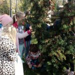 Jesienne Wędrówki 10.2019