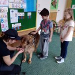 OTOZ Animals