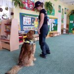 OTOZ Animals