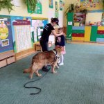OTOZ Animals