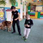OTOZ Animals