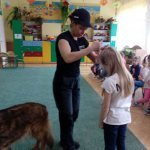 OTOZ Animals