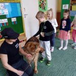OTOZ Animals