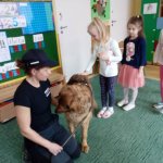 OTOZ Animals