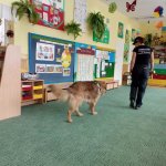 OTOZ Animals