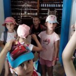 SMERFY I SKRZATY W SANOKU